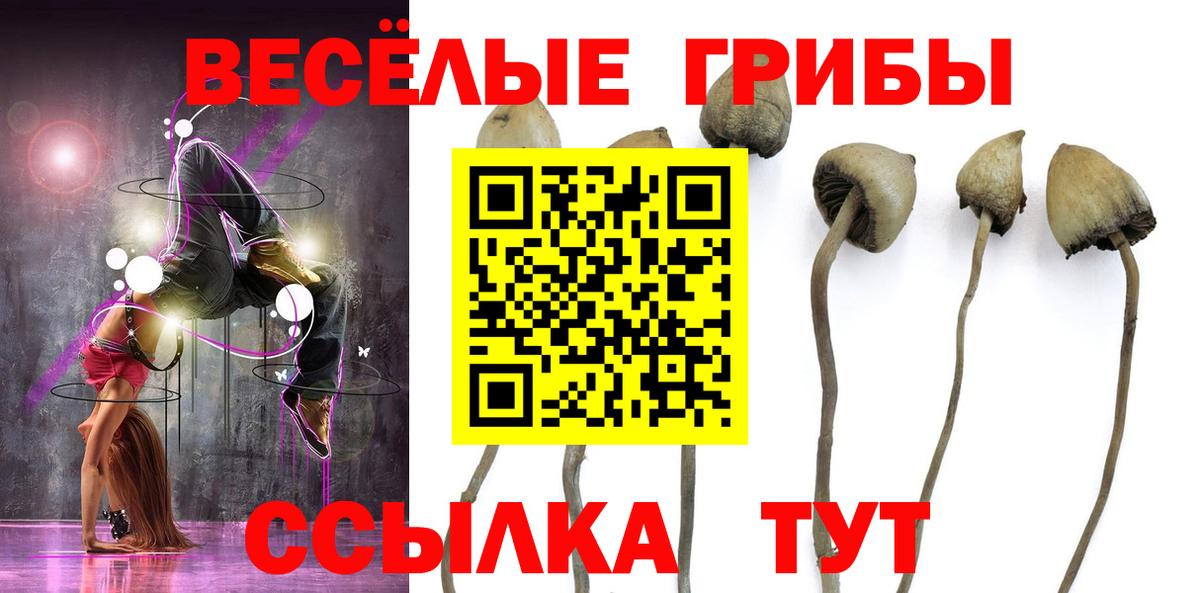 даркнет сайт  Галлюциногенные грибы мухоморы  Галлюциногенные грибы MAGIC MUSHROOMS  Вход с VPN  Александров 