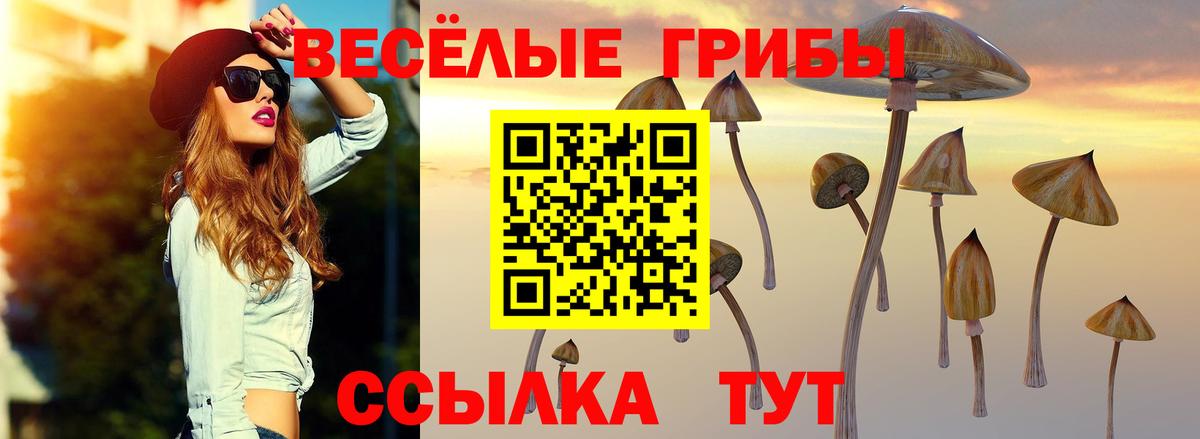 Галлюциногенные грибы Psilocybe Александров